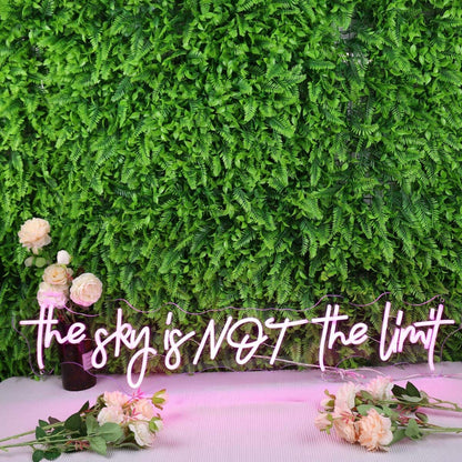 The Sky Is Not The Limit Pink Led Neon Sign - Shineneon