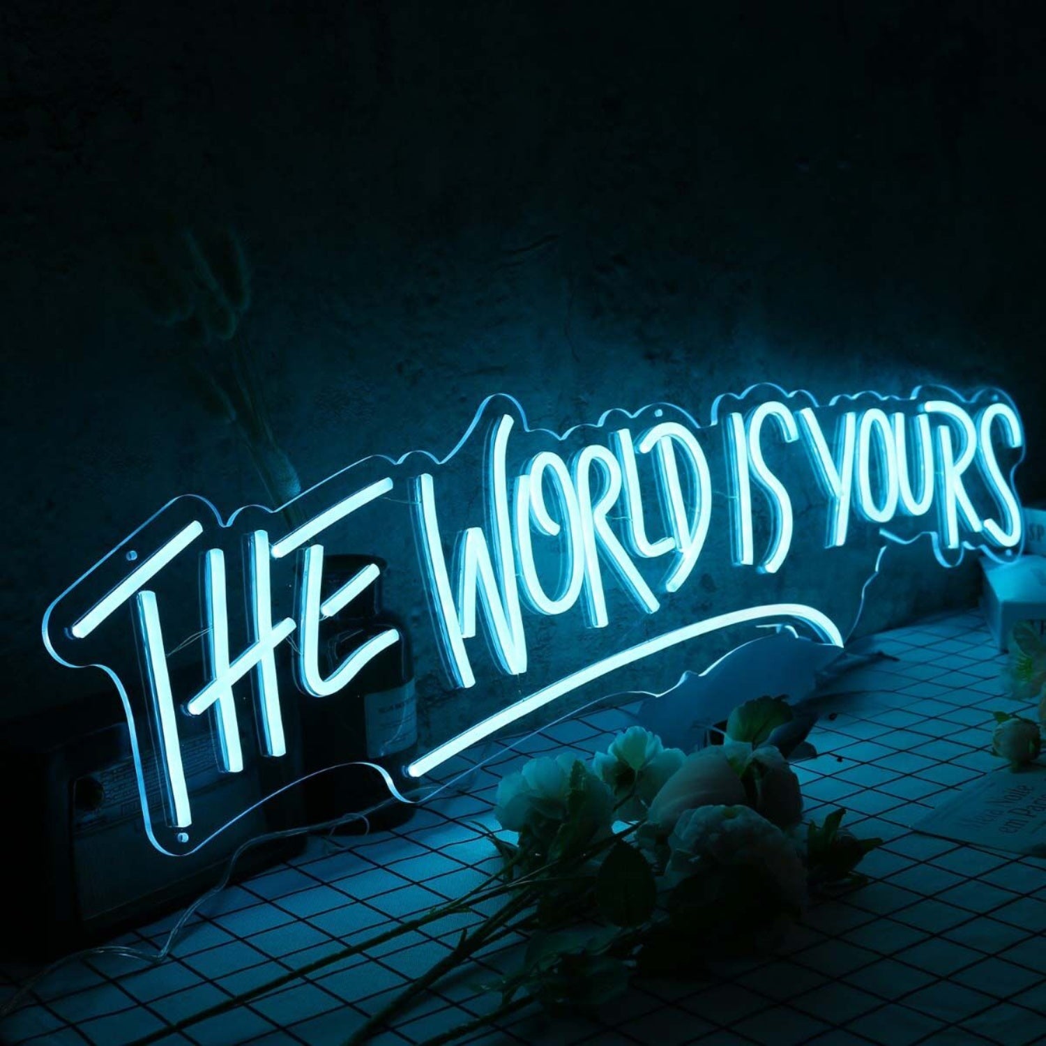 The World Is Yours Blue Custom Led Neon Sign | Shineneon