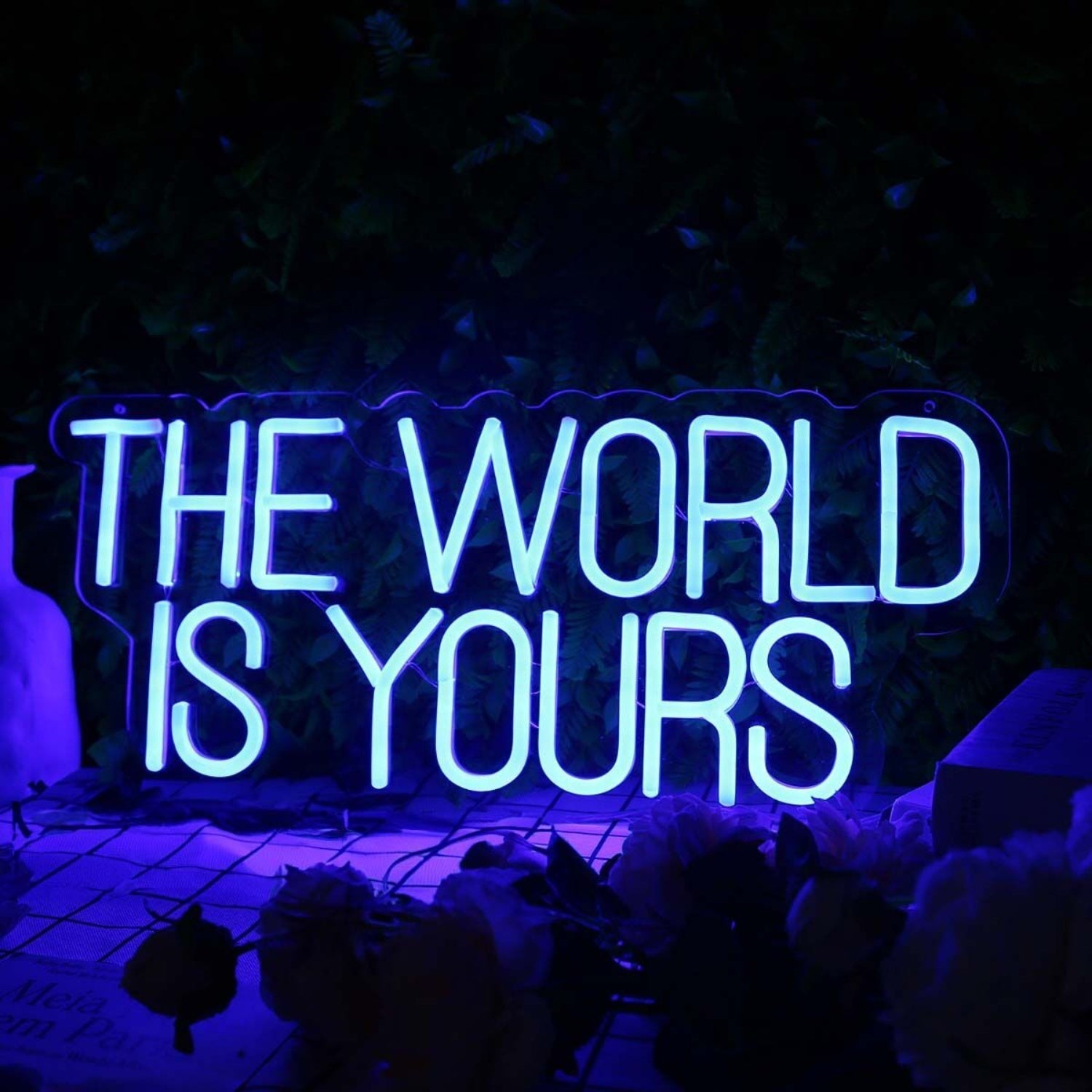 The World Is Yours Blue Led Neon Sign - Shineneon