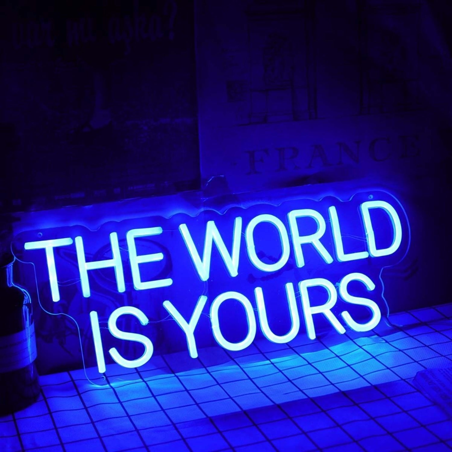 The World Is Yours Blue Neon Led Sign - Shineneon