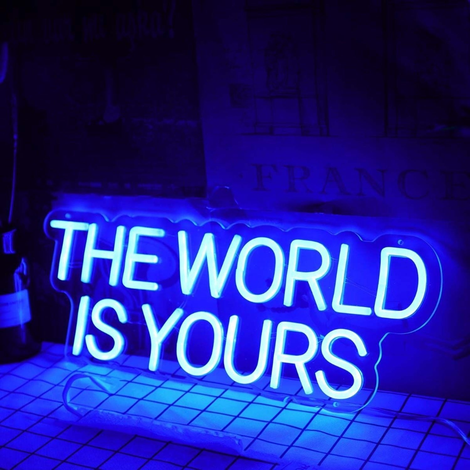 The World Is Yours Blue Neon Led Sign - Shineneon