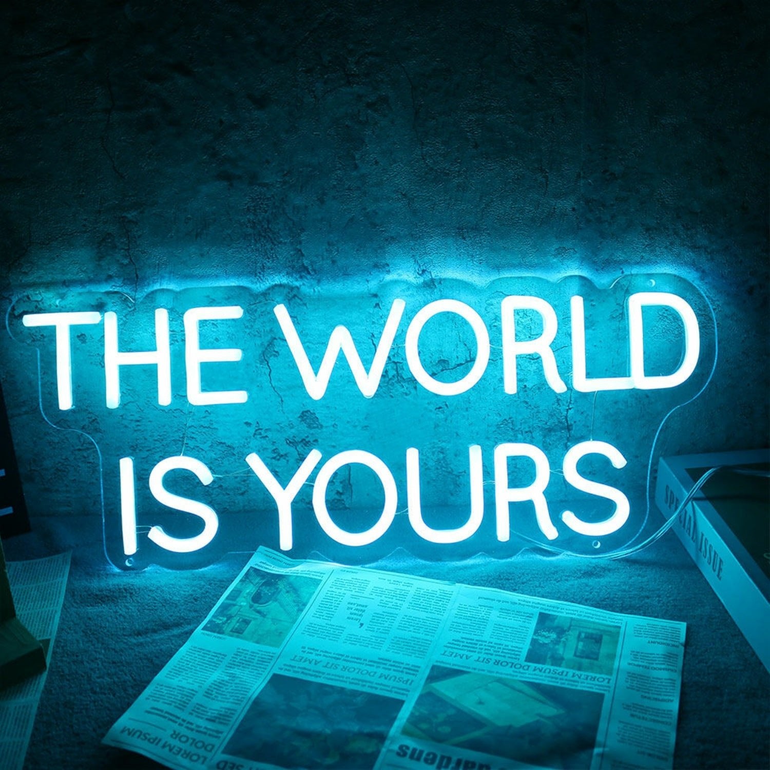 The World Is Yours Led Neon Sign For Wall Decor - Shineneon
