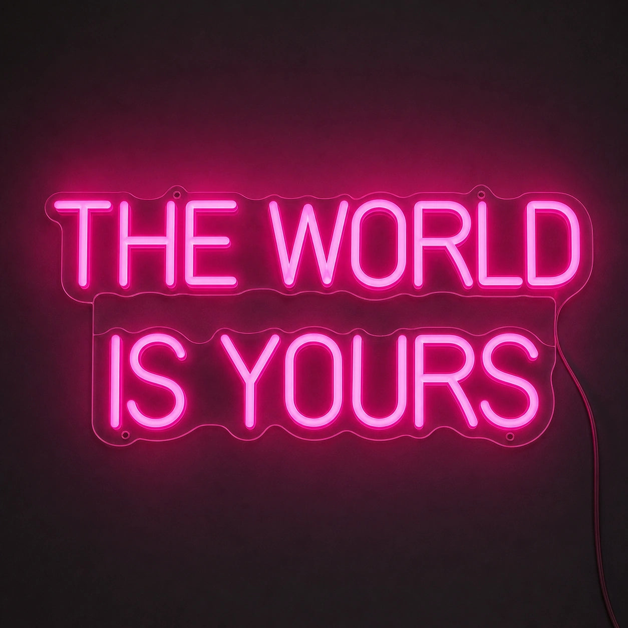 The World Is Yours Wall Decor LED Neon Sign main product image