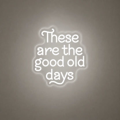 These Are The Good Old Days Block Letters Vintage LED Neon Sign size image