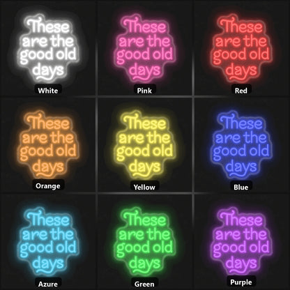 These Are The Good Old Days Block Letters Vintage LED Neon Sign color grid