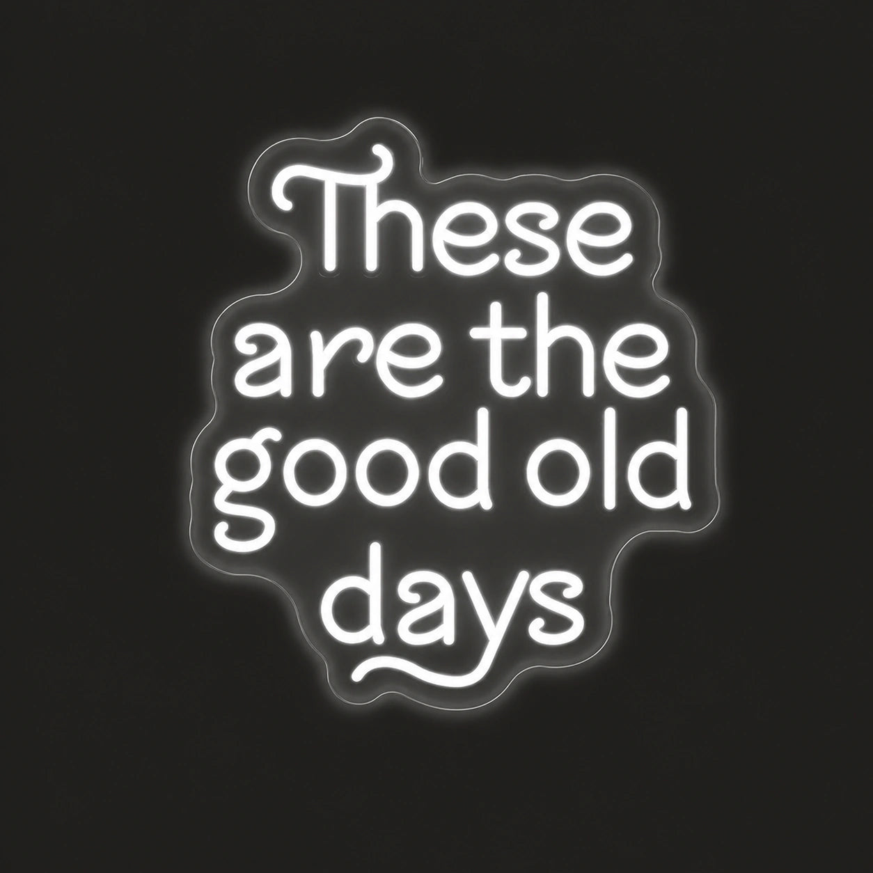These Are The Good Old Days Block Letters Vintage LED Neon Sign main product image