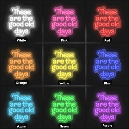 These Are The Good Old Days Block Letters Vintage LED Neon Sign - Shineneon
