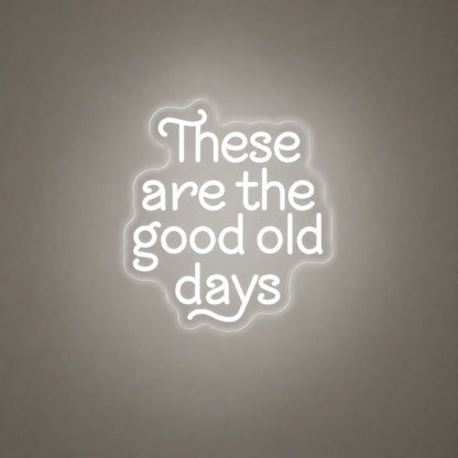 These Are The Good Old Days Block Letters Vintage LED Neon Sign - Shineneon