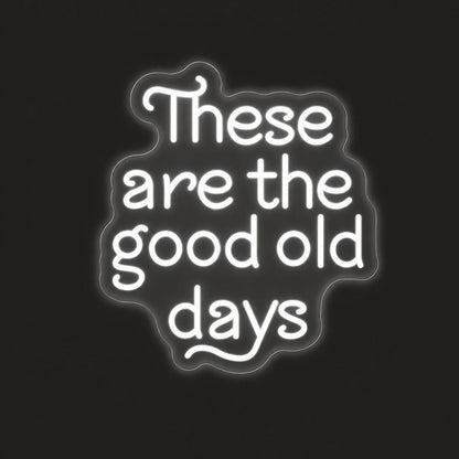 These Are The Good Old Days Block Letters Vintage LED Neon Sign - Shineneon