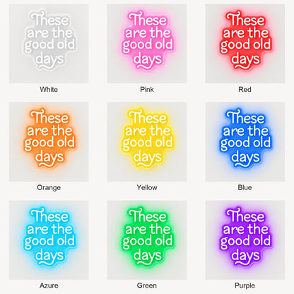 These Are The Good Old Days Block Letters Vintage LED Neon Sign Garage Neon Sign - Shineneon