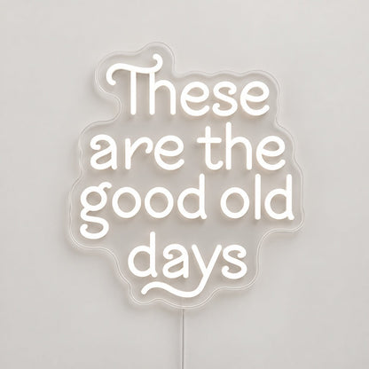 These Are The Good Old Days Block Letters Vintage LED Neon Sign Garage Neon Sign - Shineneon