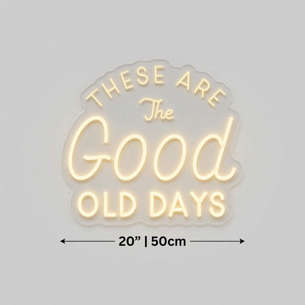 These Are The Good Old Days LED Neon Sign - 03 Real Lifestyle Scene