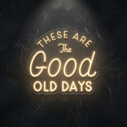 These Are The Good Old Days LED Neon Sign Wall Neon Sign - 01 Original Product Image
