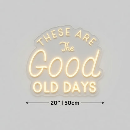 These Are The Good Old Days LED Neon Sign Wall Neon Sign - 03 Real Lifestyle Scene