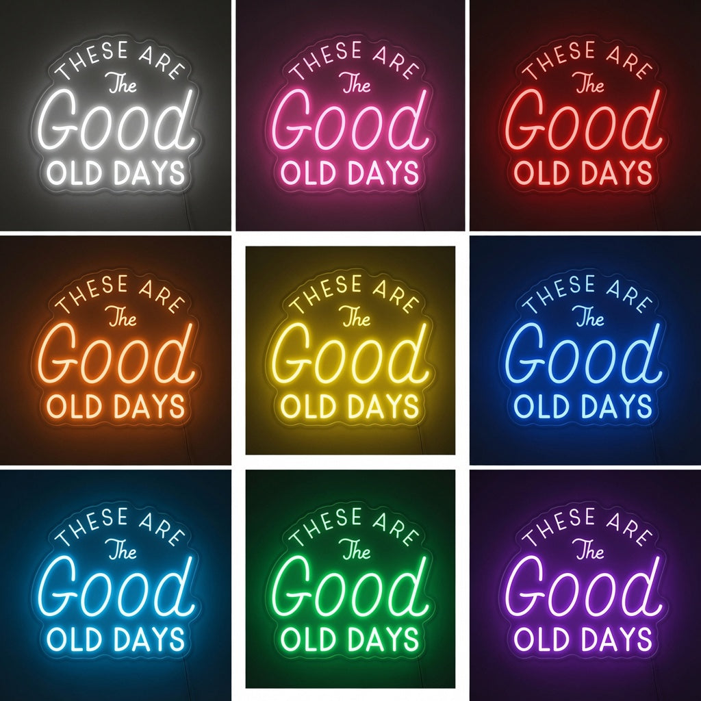 These Are The Good Old Days LED Neon Sign Wall Neon Sign - 04 Size Image