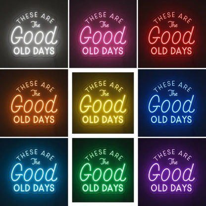 These Are The Good Old Days LED Neon Sign Wall Neon Sign - Shineneon