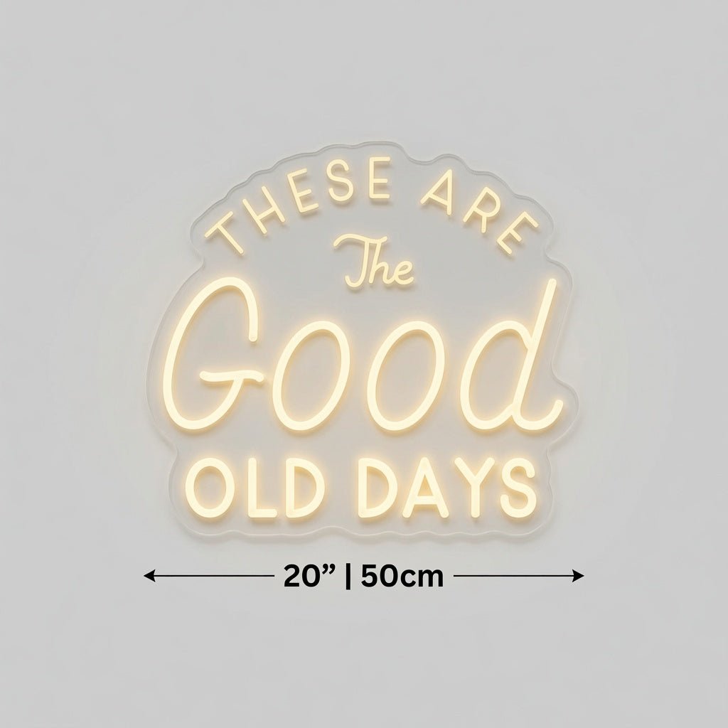 These Are The Good Old Days LED Neon Sign Wall Neon Sign - Shineneon