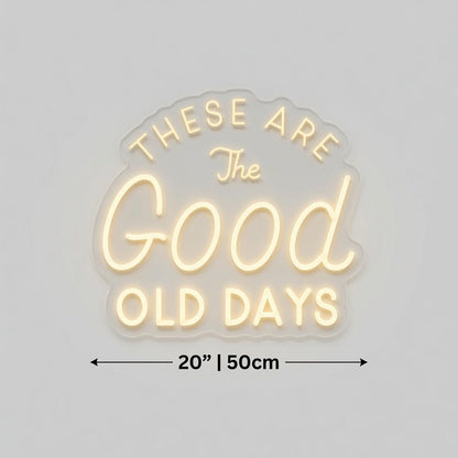 These Are The Good Old Days LED Neon Sign Wall Neon Sign - Shineneon
