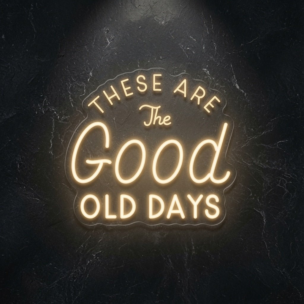These Are The Good Old Days LED Neon Sign Wall Neon Sign - Shineneon