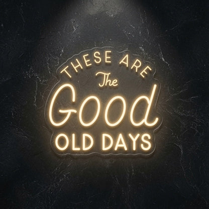 These Are The Good Old Days LED Neon Sign Wall Neon Sign - Shineneon