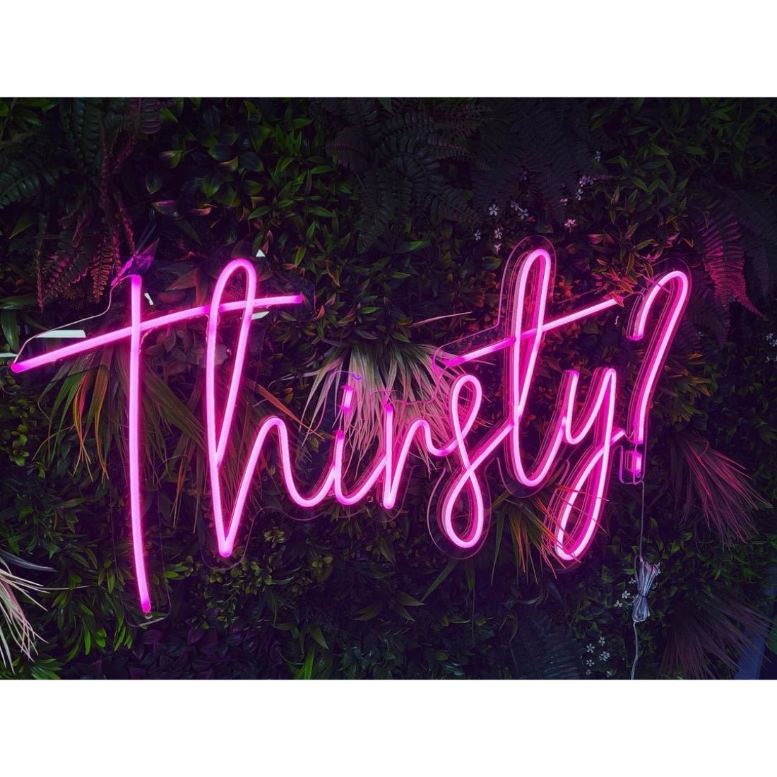 Thirsty Led Sign Business Neon Sign - Shineneon