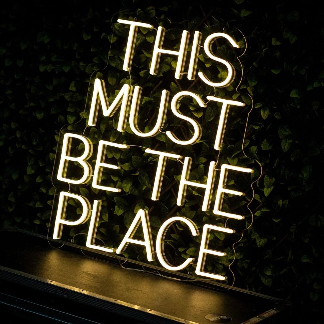 This Must Be The Place Neon Sign Led Sign Party Decor - Shineneon