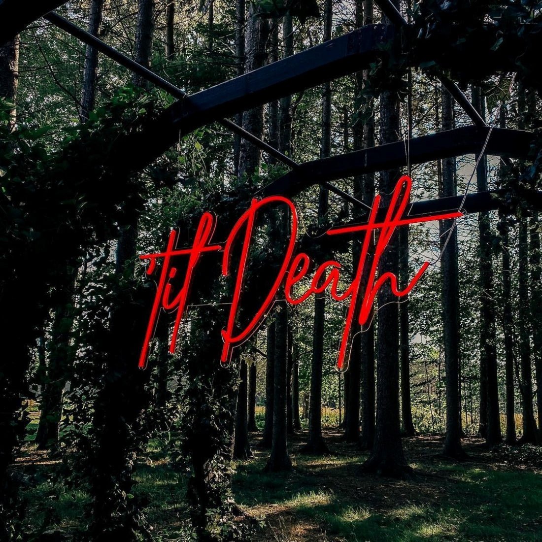 Til Death Neon Signs Neon Lights Led Neon Signs - Shineneon