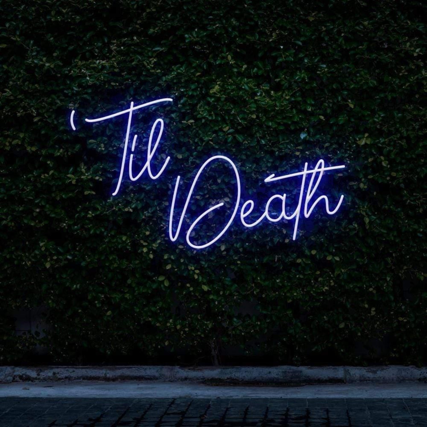 Til Death Pink Cursive Script Led Neon Sign For Botanical Wall Decor | Shineneon