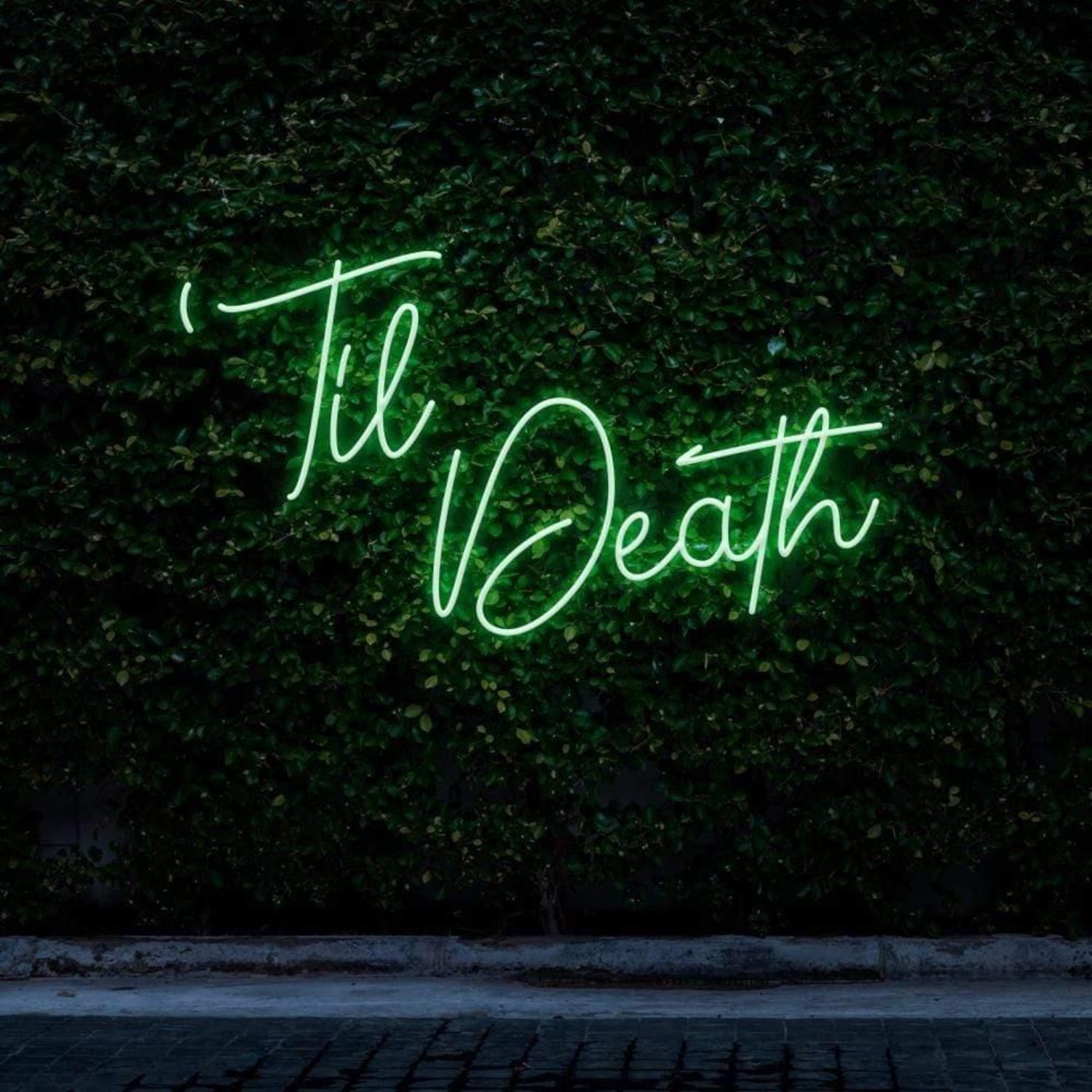 Til Death Pink Cursive Script Led Neon Sign For Botanical Wall Decor | Shineneon