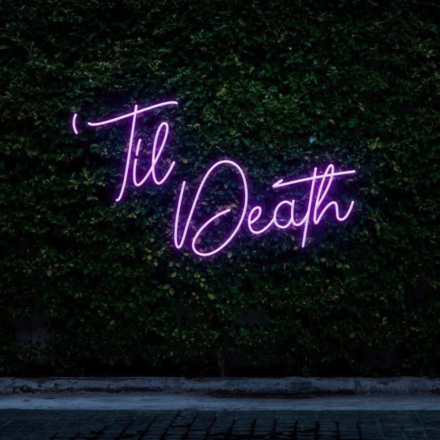 Til Death Pink Cursive Script Led Neon Sign For Botanical Wall Decor | Shineneon