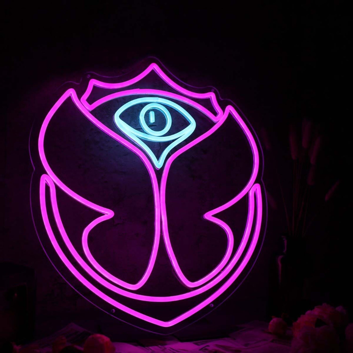 Tomorrowland Neon Sign | Shineneon