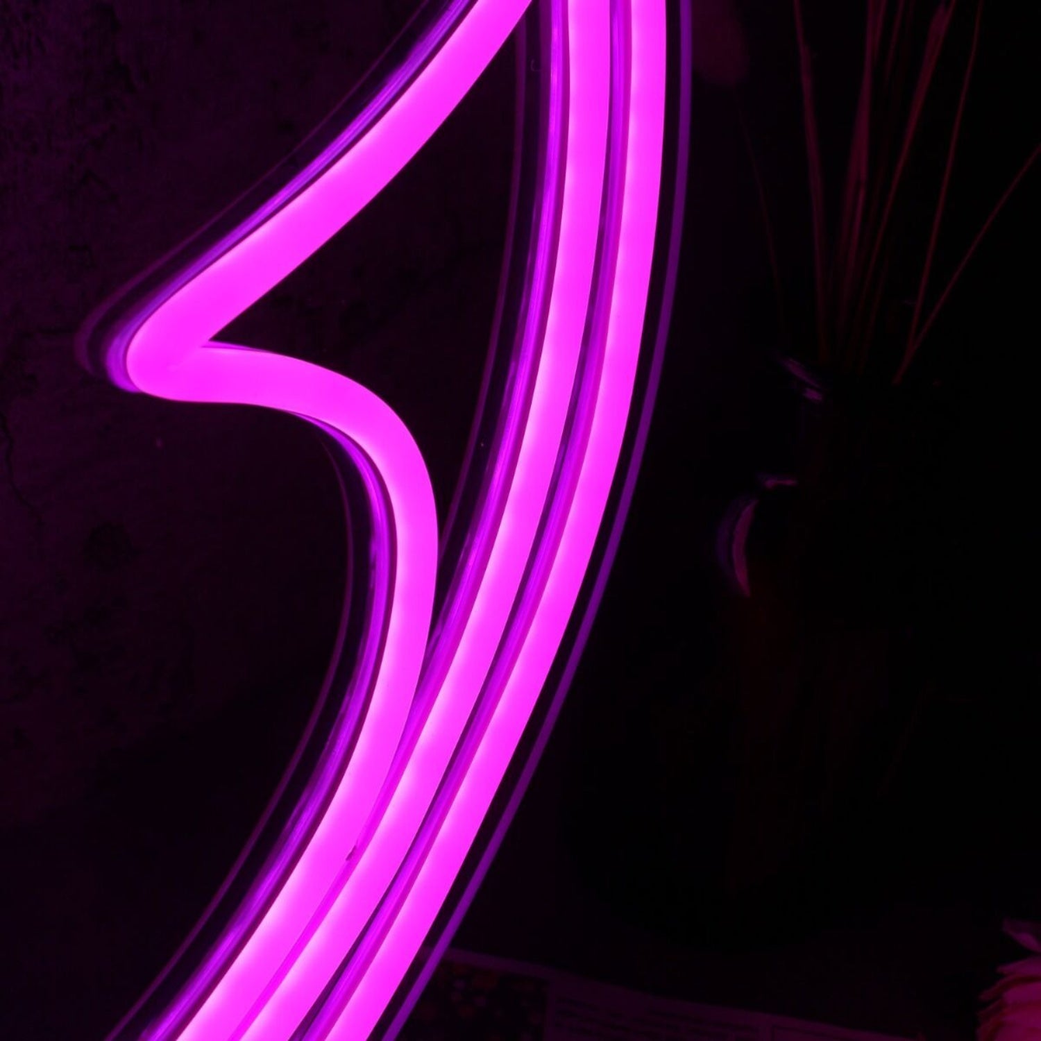 Tomorrowland Neon Sign | Shineneon