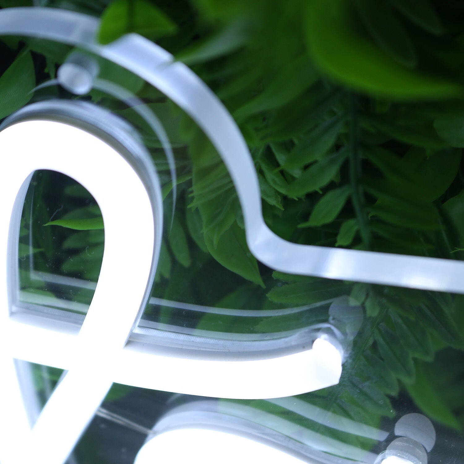 Touchedbyr White Led Neon Sign - Shineneon