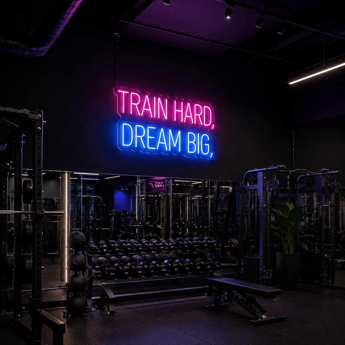 Train Hard Dream Big LED Neon Sign - Shineneon