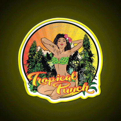 Tropical Punch Strain Art Hemp Inspired Green Leaf Led Neon Sign Rgb Color - Custom LED neon sign front view