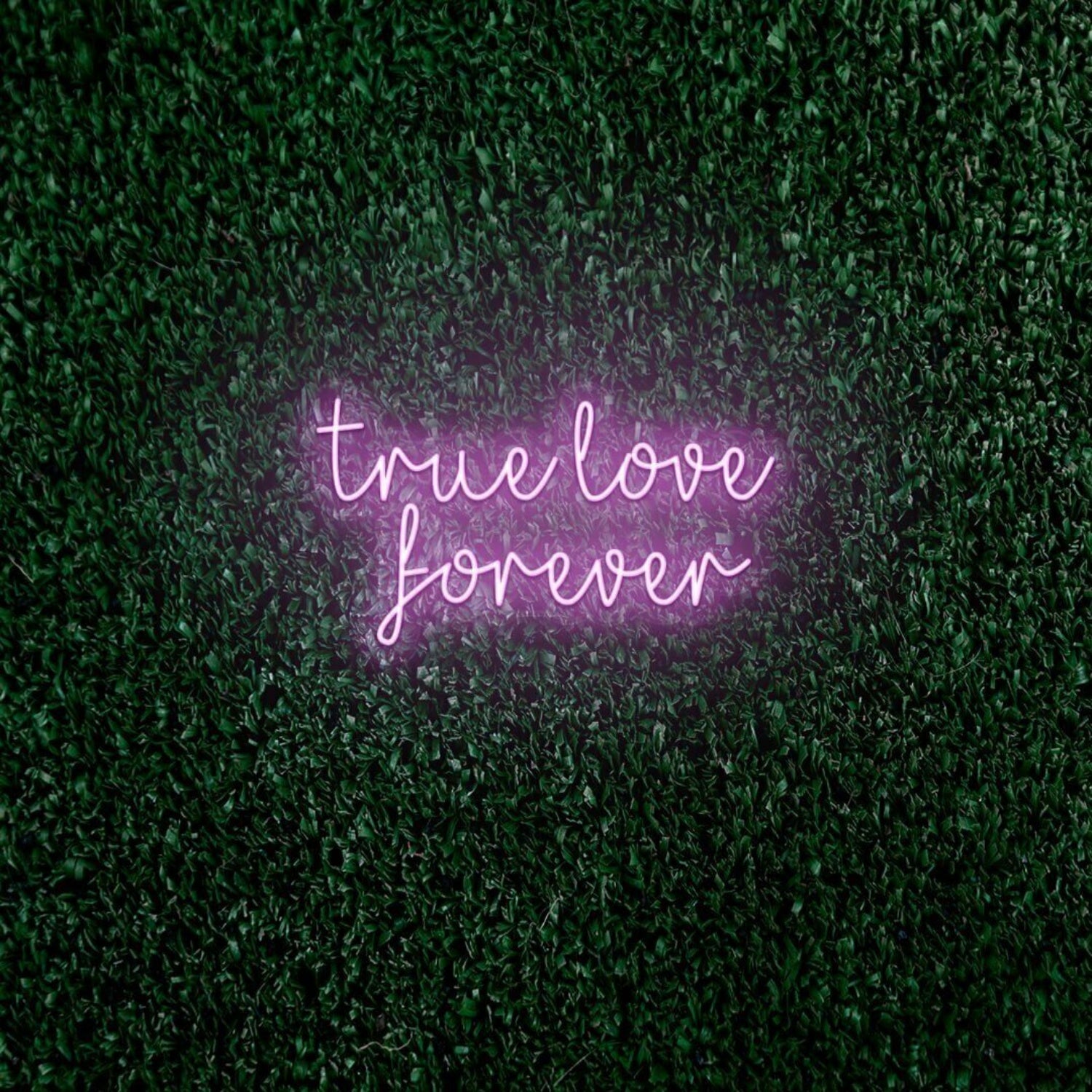 True Love Forever Led Neon Sign | Shineneon