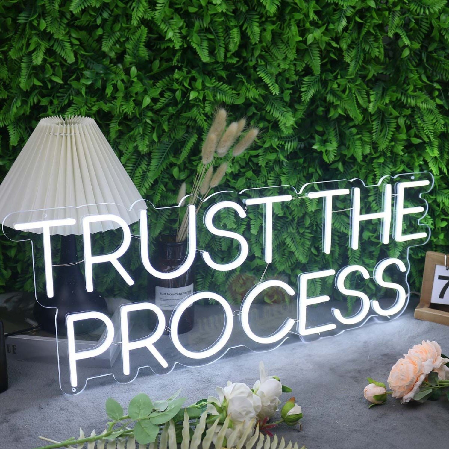Trust The Process White Led Neon Sign | Shineneon