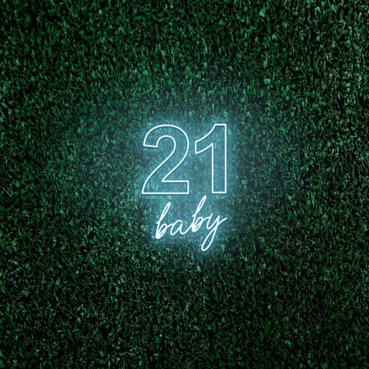 Twenty One Baby Led Neon Sign | Shineneon