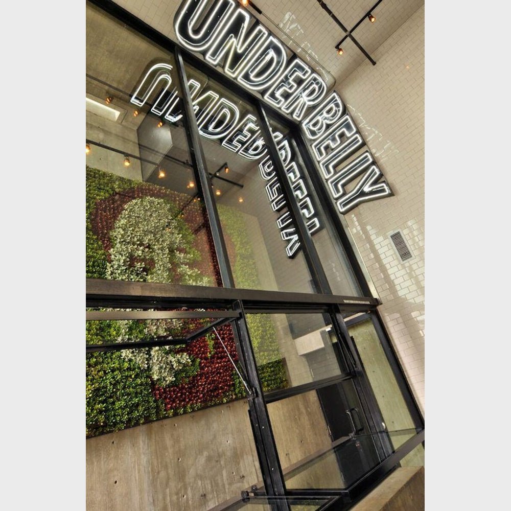 Under Belly 3D Frontlit And Backlit Channel Letter Led Light Sign - Shineneon