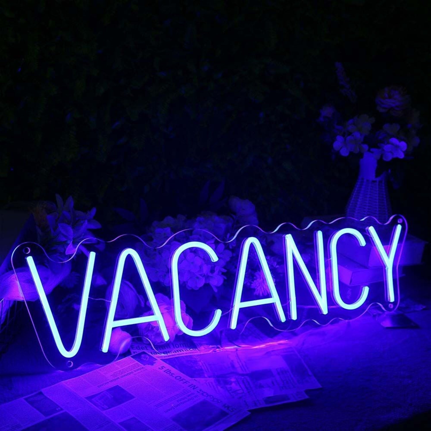 Vacancy Led Neon Sign For Hotels And Hospitality Spaces | Shineneon