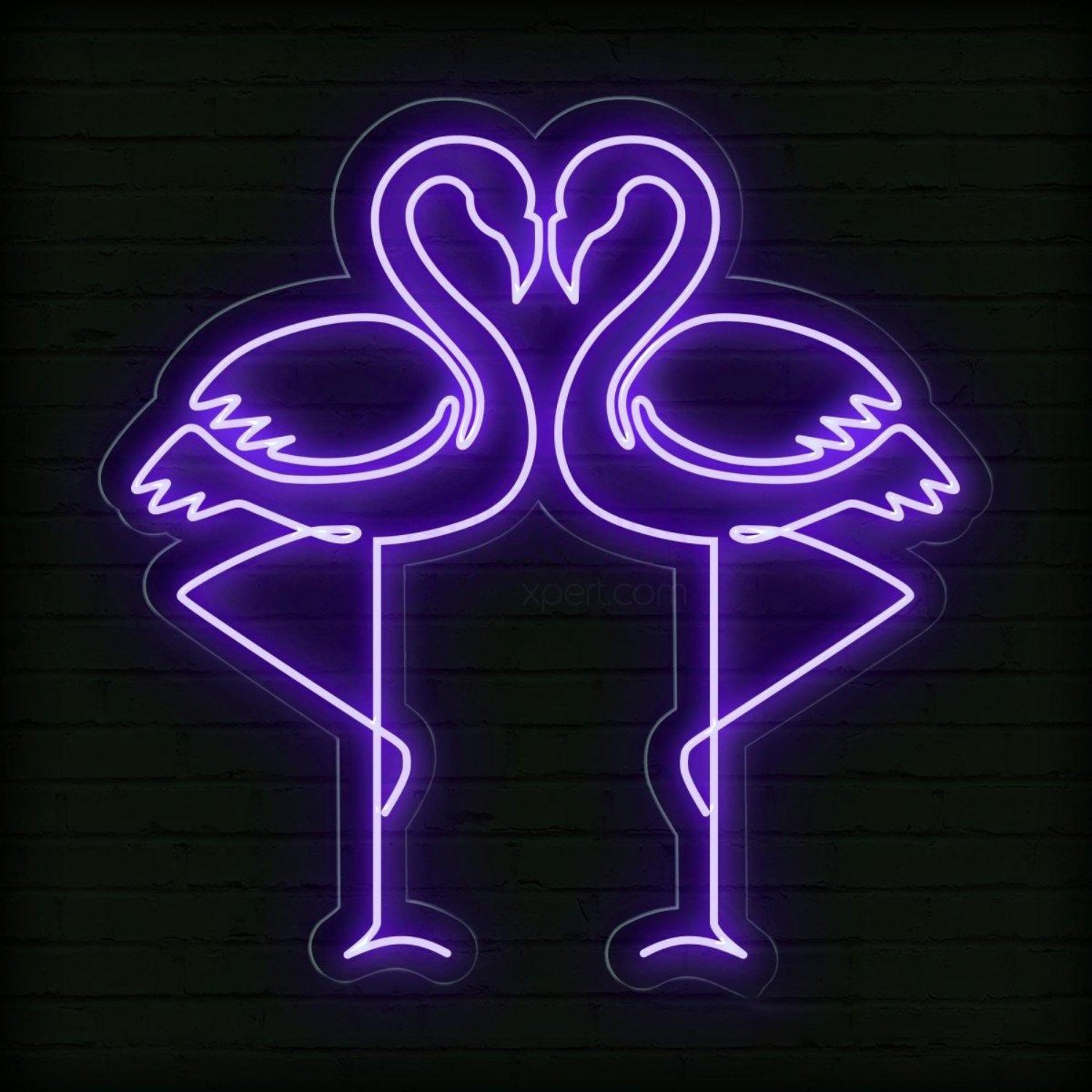 Vivid Purple Flamingo Couple Led Neon Sign For Romantic Indoor Decor | Shineneon