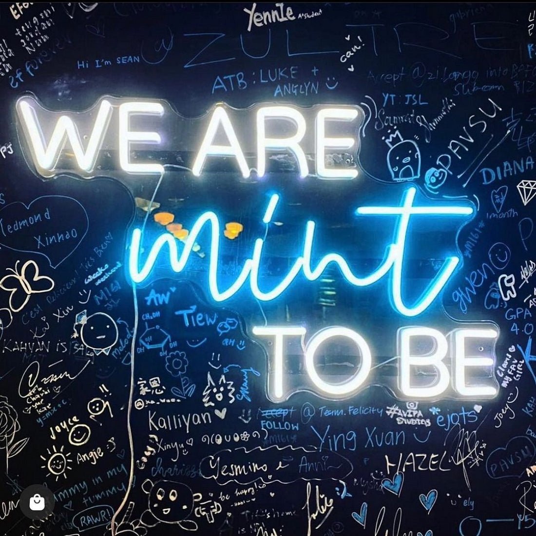 We Are Mint To Be Led Sign Business Neon Sign - Shineneon