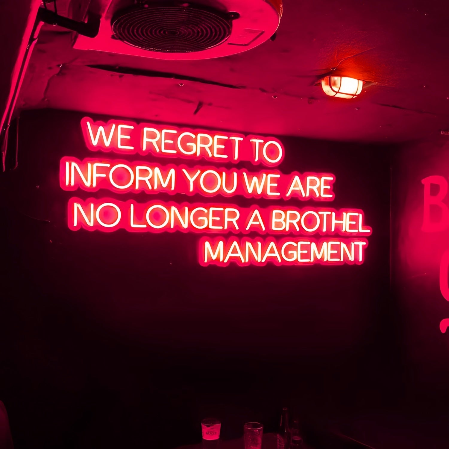 We Regret To Inform You We Are No Longer A Brothel Led Neon Sign | Shineneon