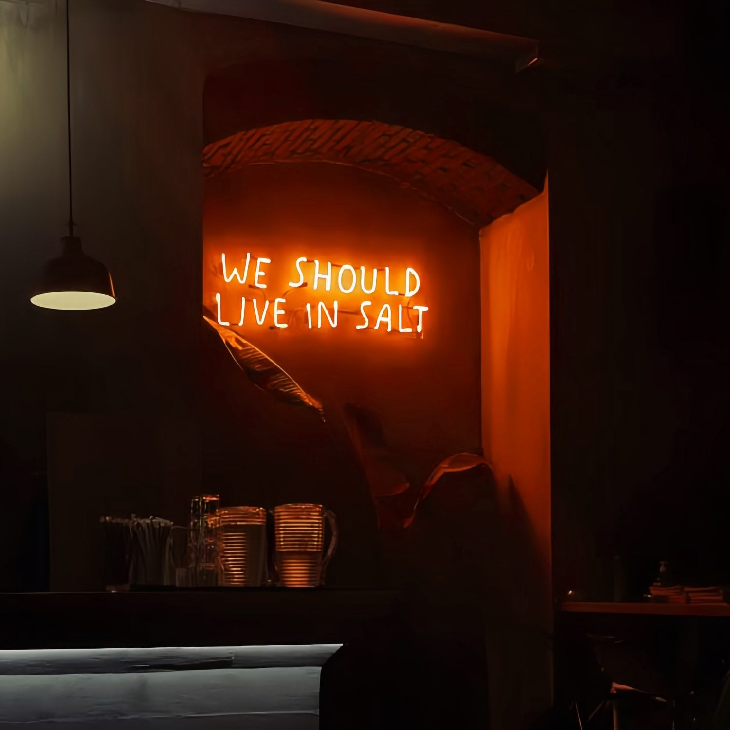 We Should Live In Salt Led Neon Sign Dive Into Adventure With Neon Salt | Shineneon