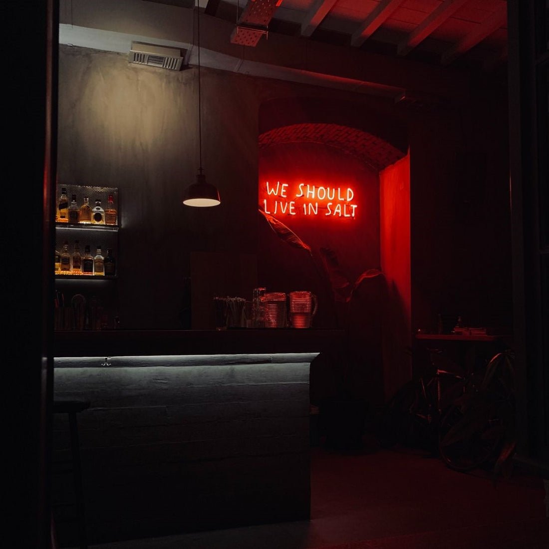 We Should Live In Salt Led Sign Business Neon Sign - Shineneon