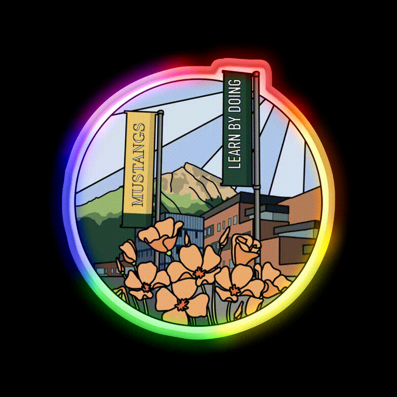 Welcome To Slo Welcome Led Neon Sign Open Sign Rgb Color - LED neon sign close-up detail