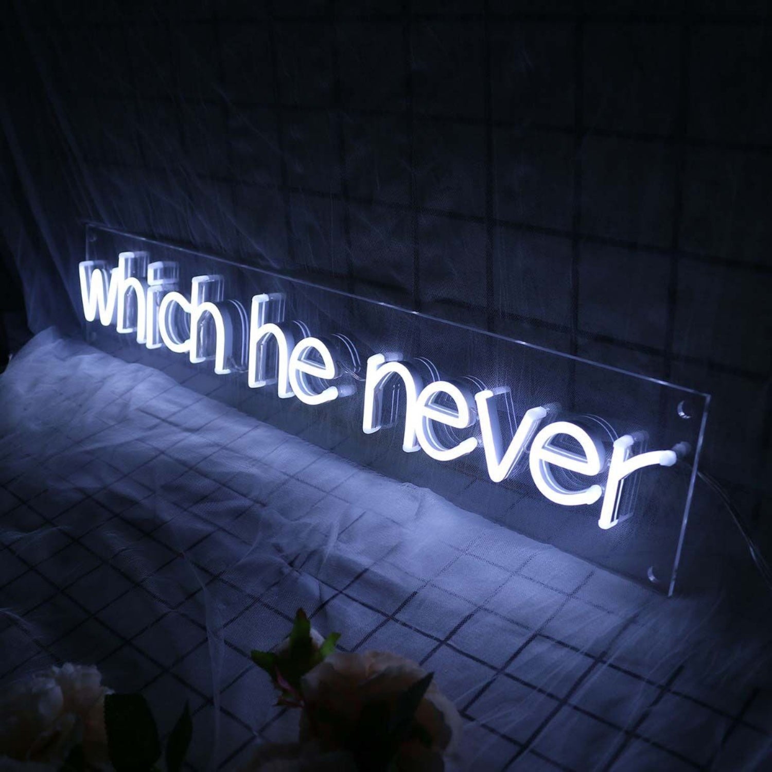 Which He Never White Led Neon Sign | Shineneon