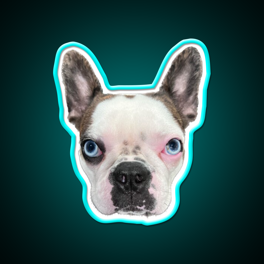 Whiskey Dog Whiskey Drink Bar Led Neon Sign Wall Art Rgb Color