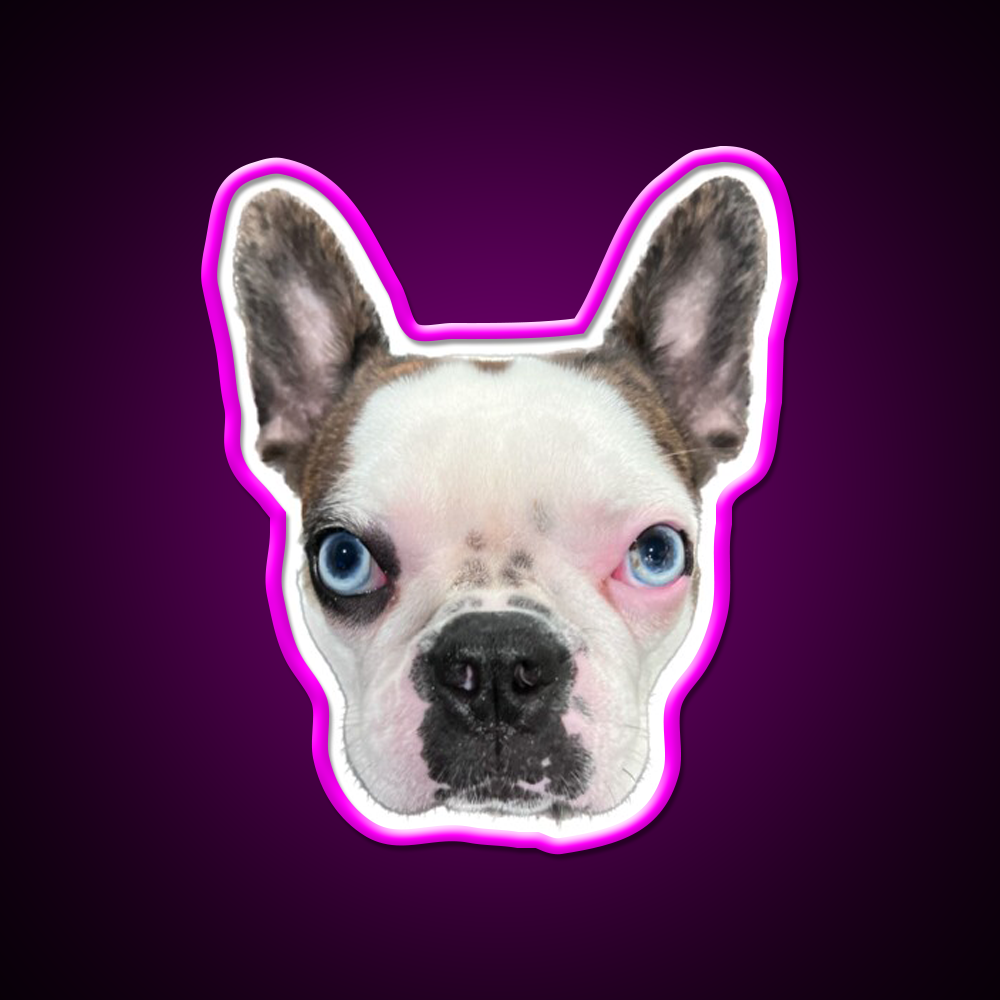 Whiskey Dog Whiskey Drink Bar Led Neon Sign Wall Art Rgb Color