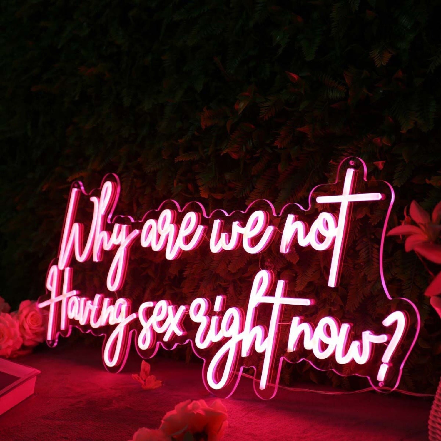 Why Are We Not Having Sex Right Now Red Led Neon Sign - Shineneon